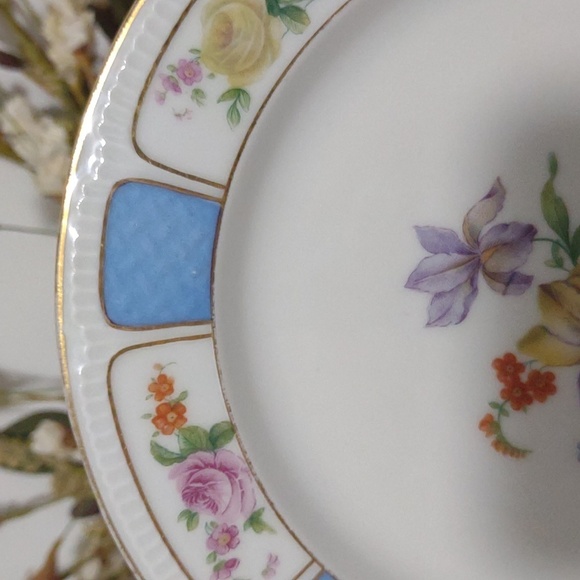 Antique Haas & Czjzek H.C. Schlaggenwald Black Knight Plate Gold Trim - Picture 7 of 11